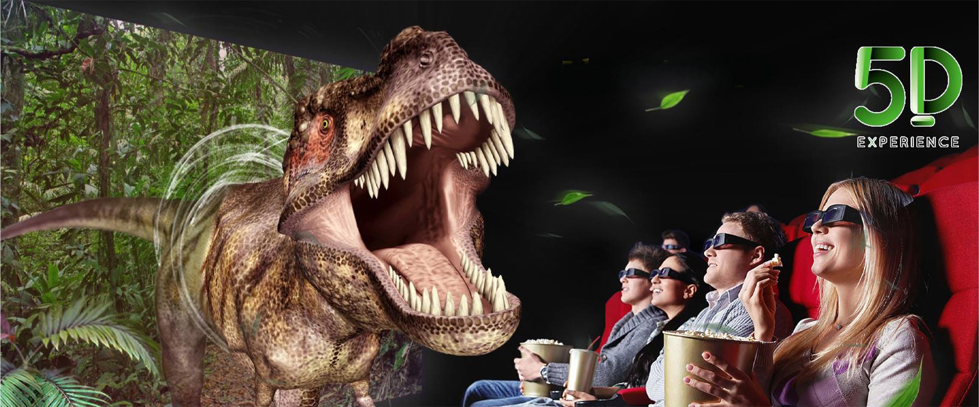5D Experience