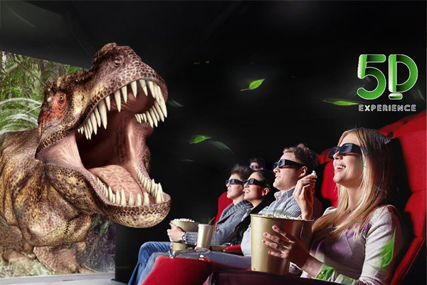 5D Experience