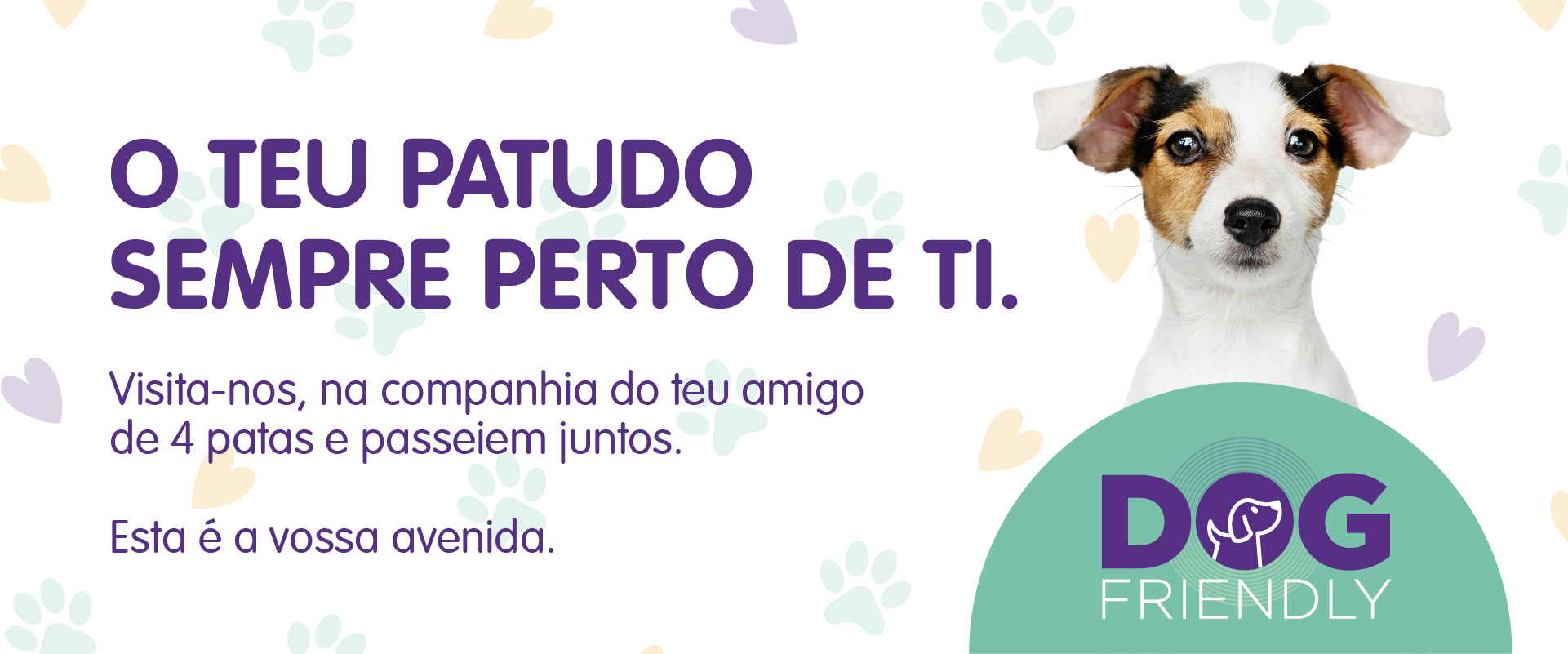 O TEU PATUDO É BEM-VINDO AQUI 🐶🐾